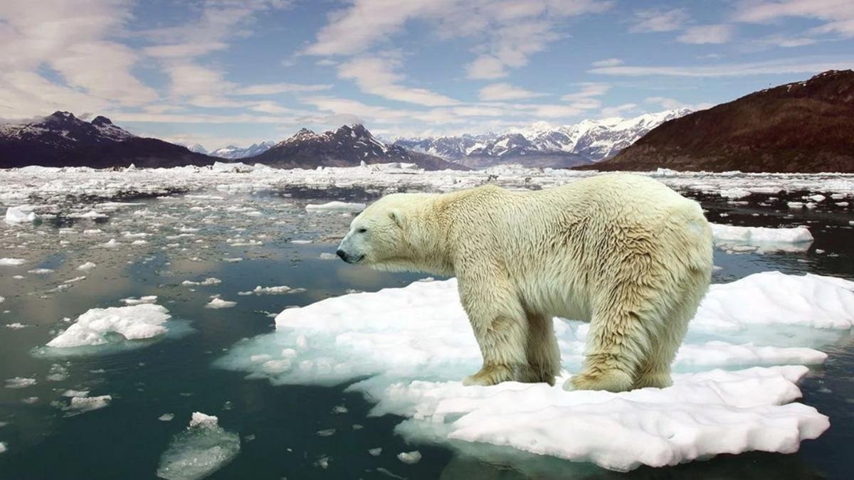 En la cumbre buscan financiar la lucha contra la pobreza y el cambio climtico