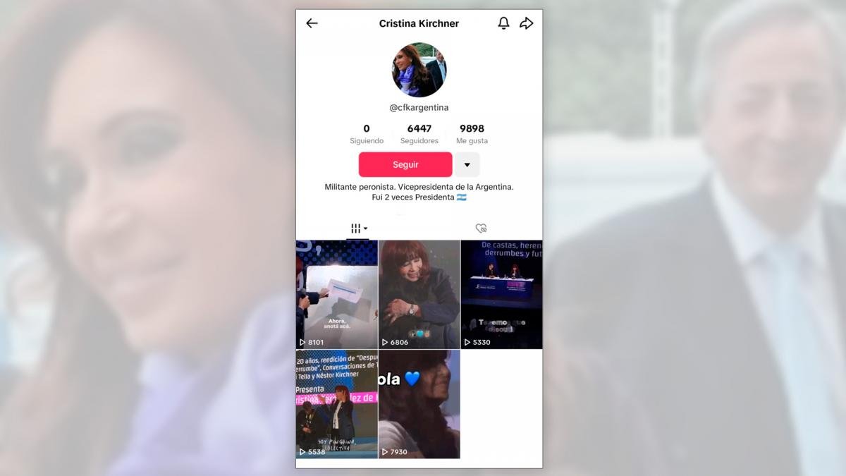 Hola qu tal Salimos con TikTok public la Vicepresidenta en la red social X Foto Captura TikTok