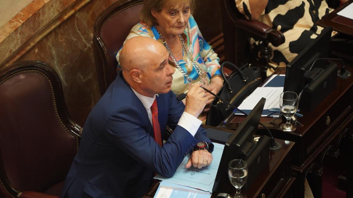 Muchos otros presidentes han dictaminado por medio de DNU y nunca se ha declarado la inconstitucionalidad dijo el senador de La Libertad Avanza Foto Pepe Mateos