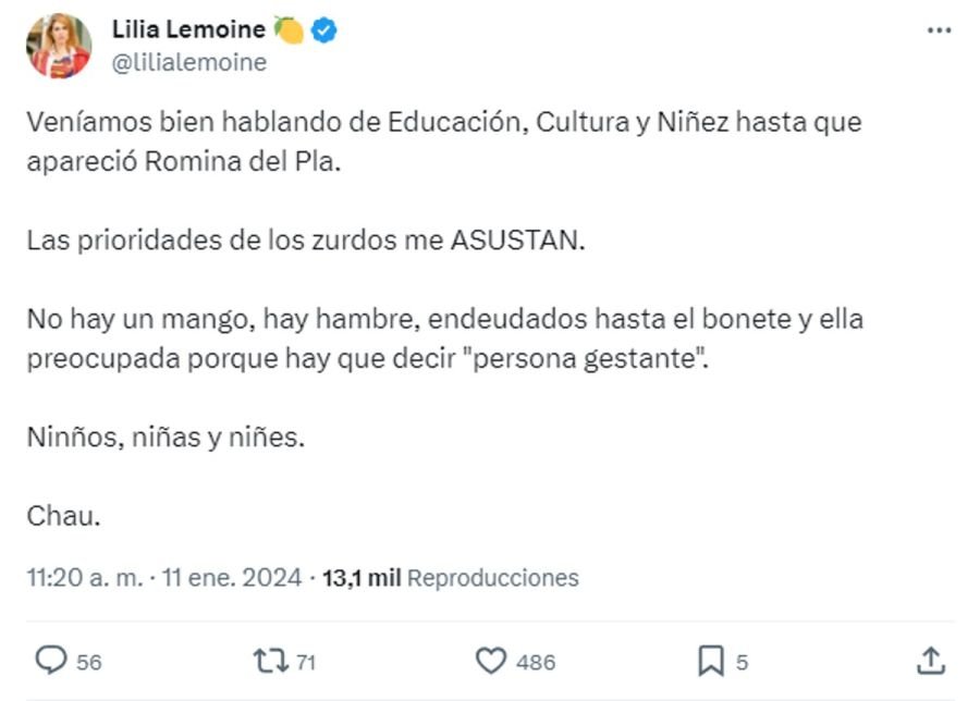 Lillia Lemoine durante el plenario 20240111