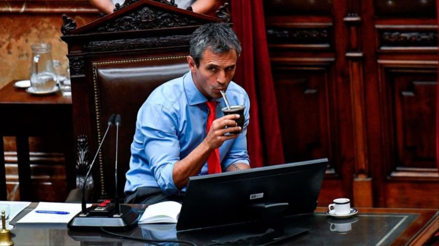 Martín Menem 20240201
