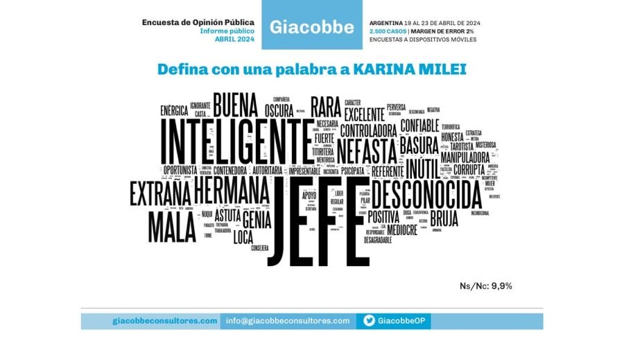 Encuesta de Opinión Pública