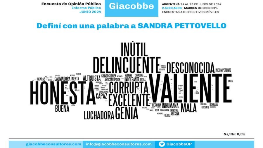 Informe publico junio 2024
