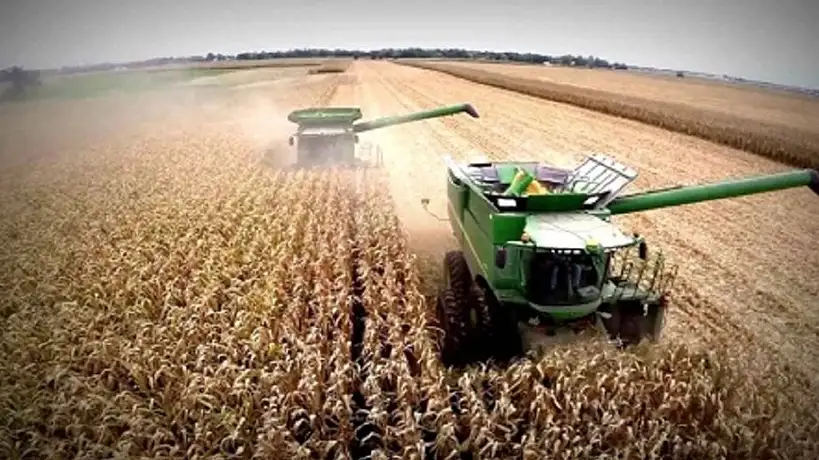 Retenciones al agro, según los especialistas