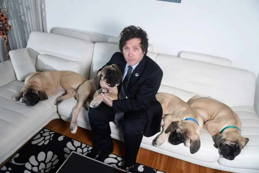 Javier Milei con sus perros, clones de Conan